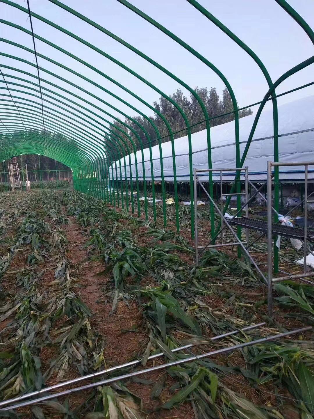 山西温室大棚架子免费上门安装