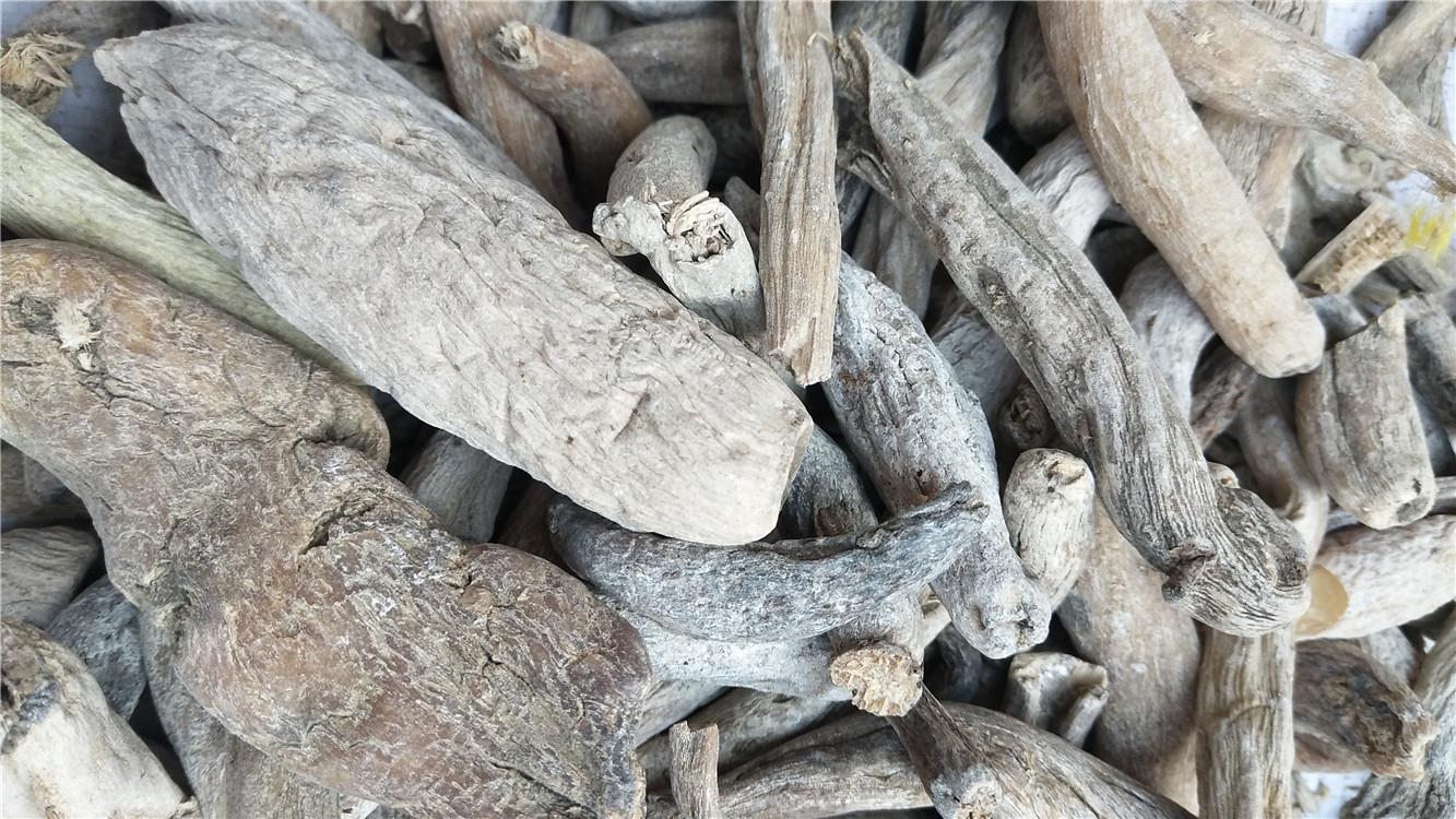 紫茉莉根的价格茉莉根的功效