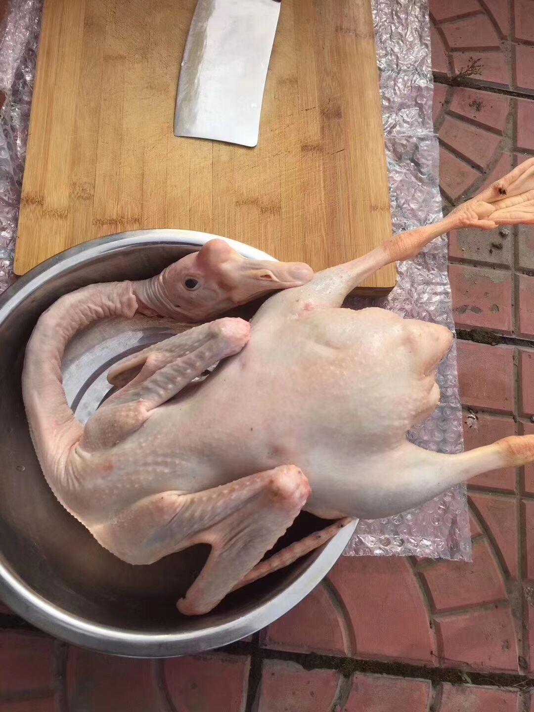 四平市 老鹅屠宰场 大鹅批发厂家 新鲜白条鹅价格