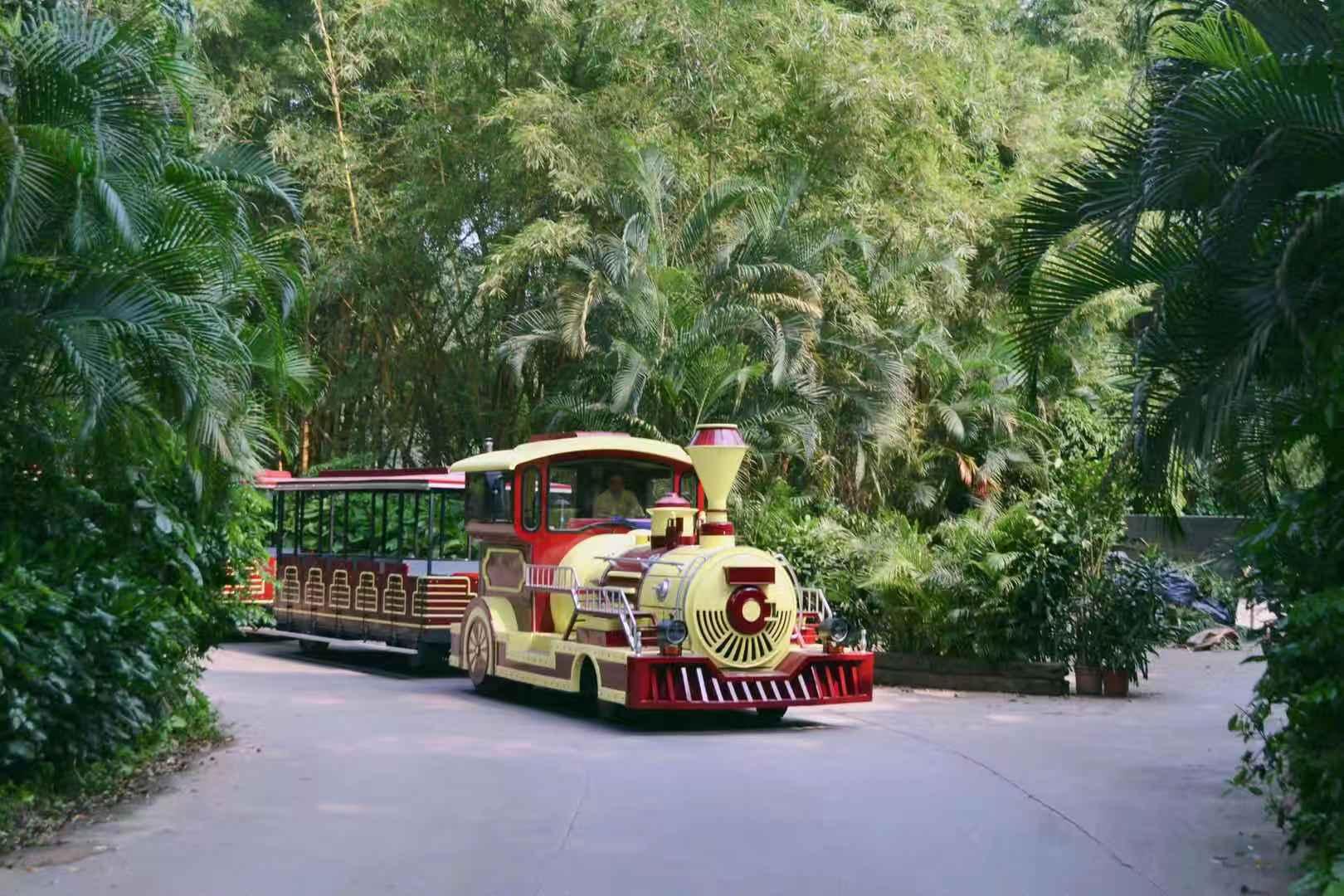 景区小火车 豪华观光火车 森林观光火车