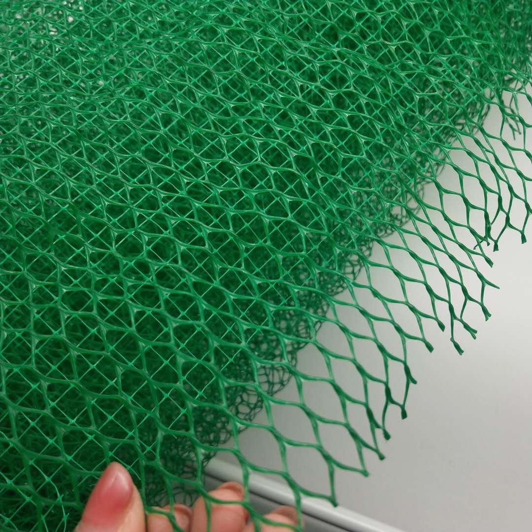 拉伸网植被网厂家