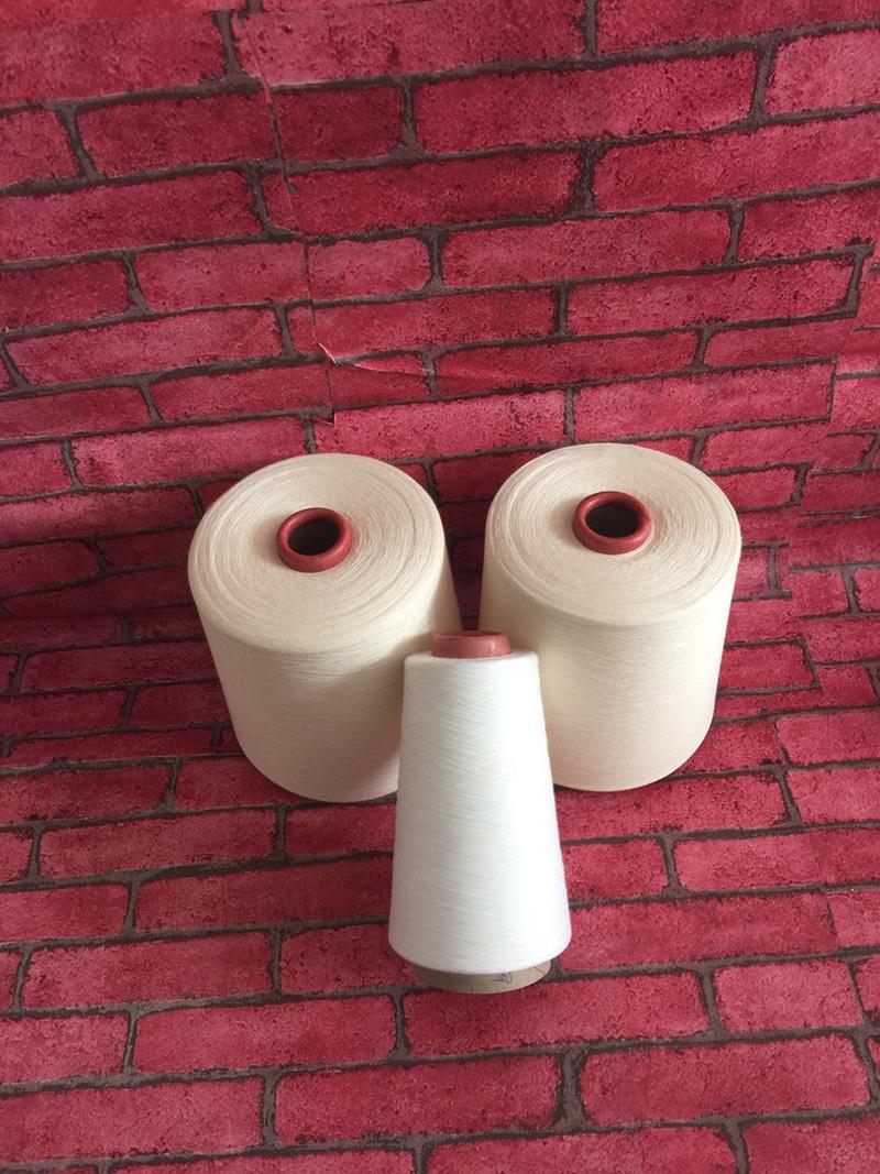 温州市匹马长绒棉纱32支50支公司