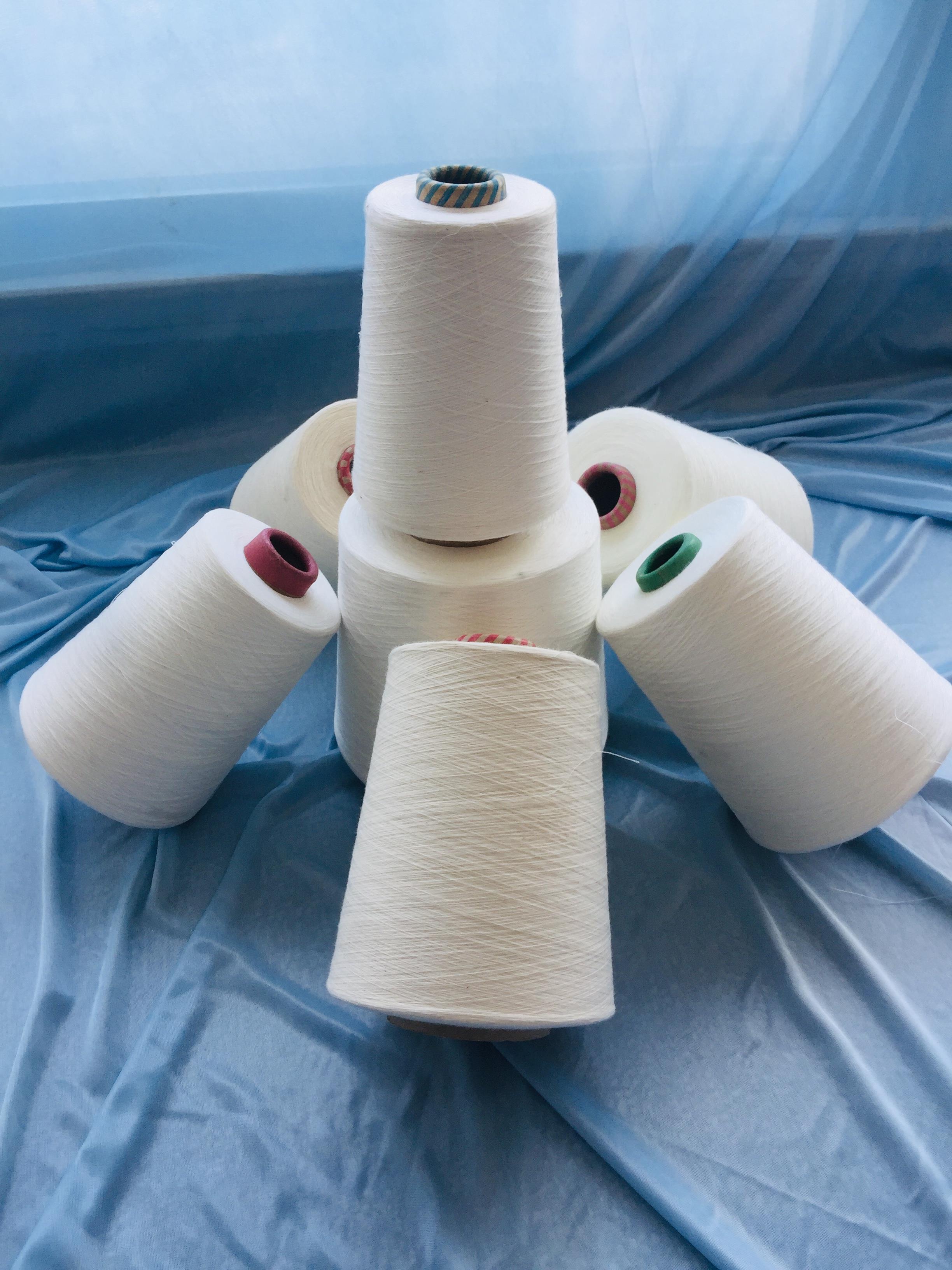 温州市匹马长绒棉纱32支50支公司