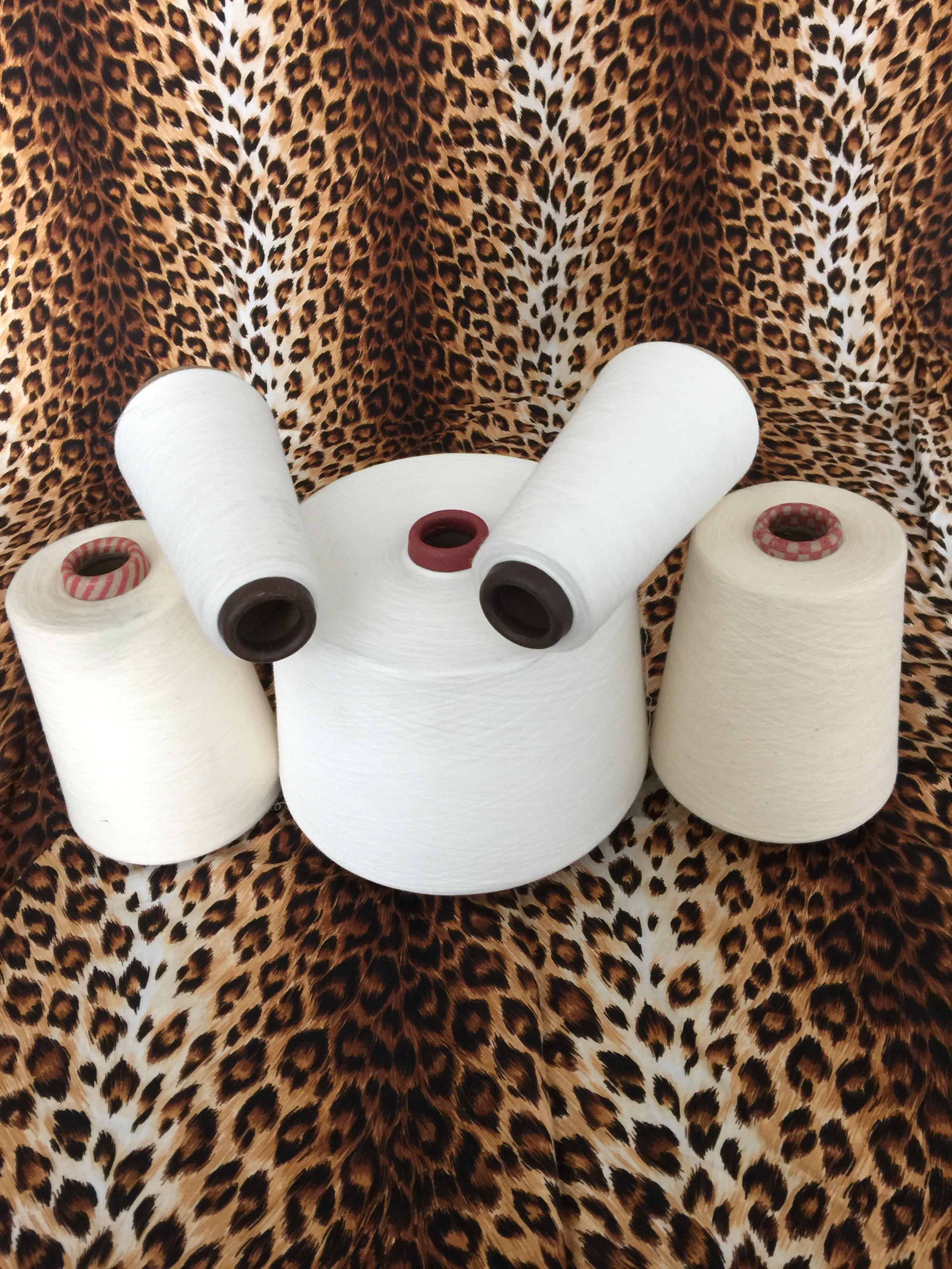 无锡市埃及长绒棉纱21支并线120支