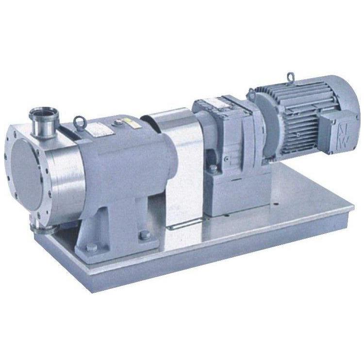 沧州小型转子泵专线