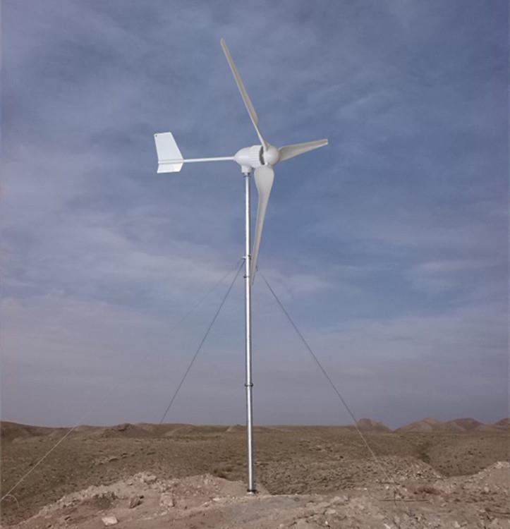 广西1kw24v48v微型风力发电机低速永磁足功率发电