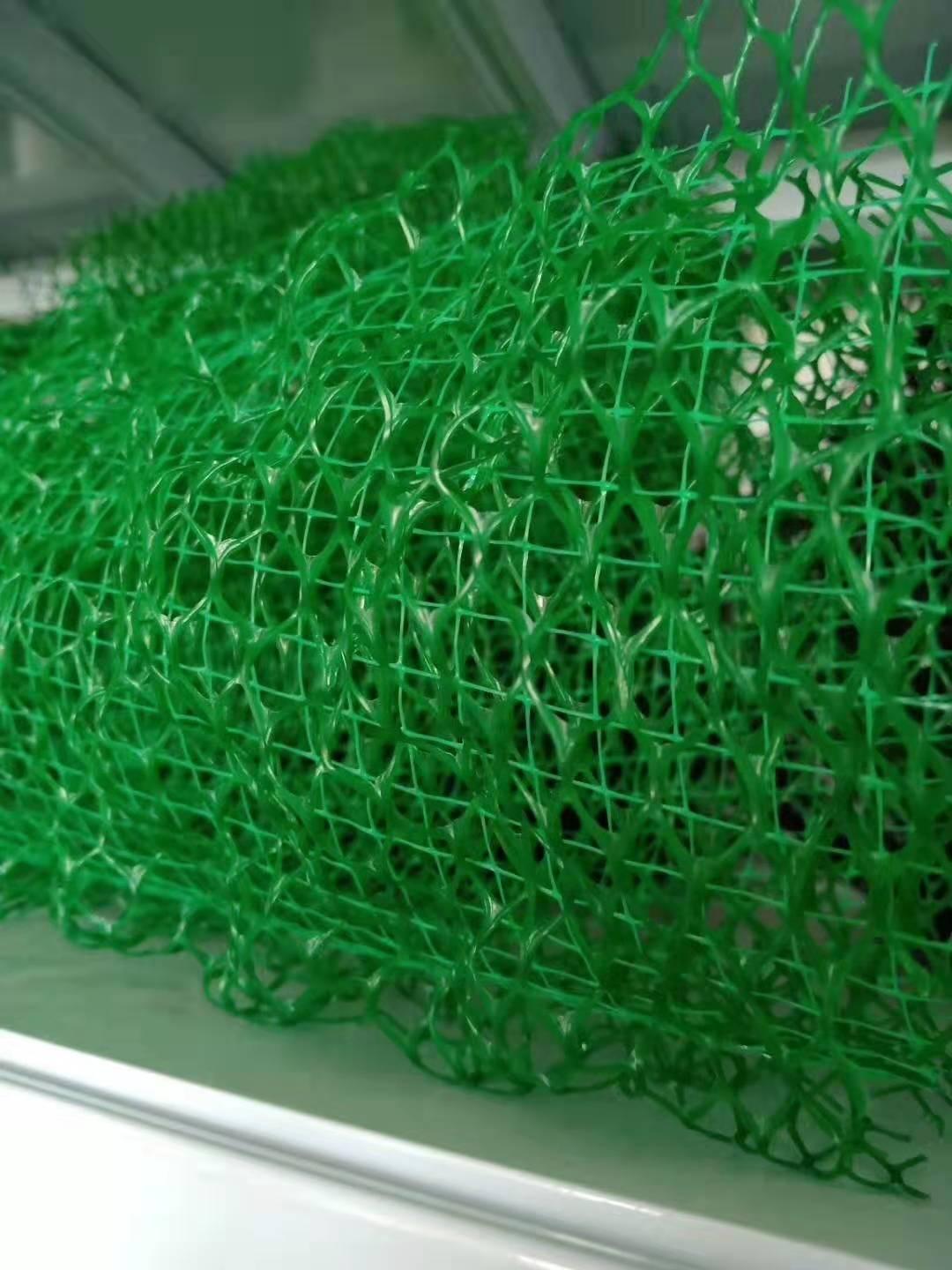 量大优惠三维网植草护坡 规格可定制em5三维植被网