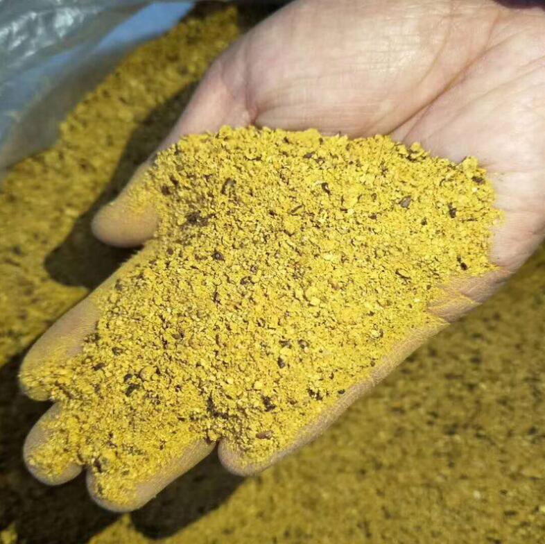 河北高蛋白棉籽粕价格