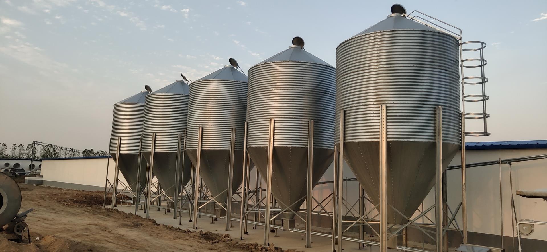 养猪养猪料线欢迎老板咨询青海