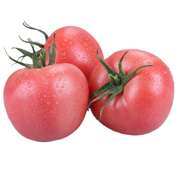 粉迪尼217番茄图片