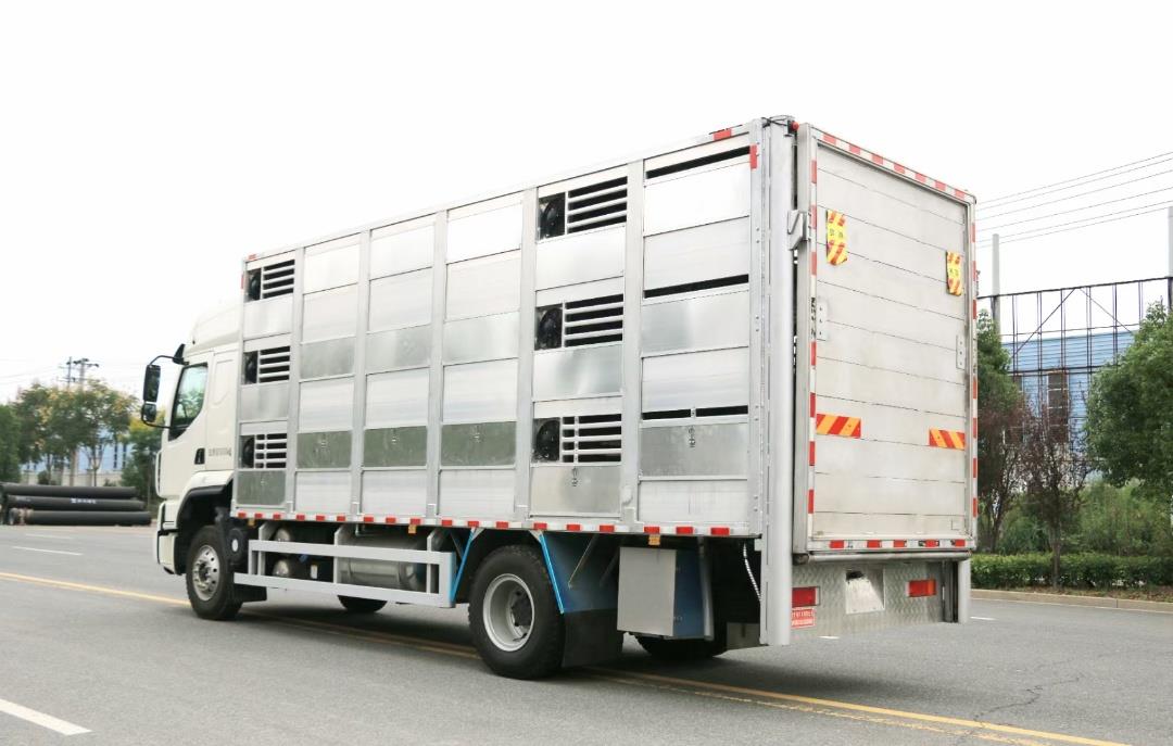 新款柳汽乘龙三层拉猪车厂家