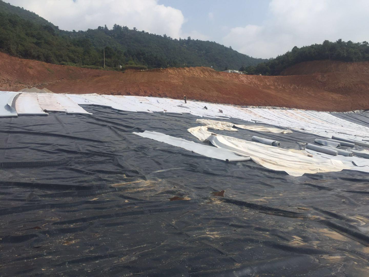 pe防渗膜hdpe水池布昭通hdpe土工膜