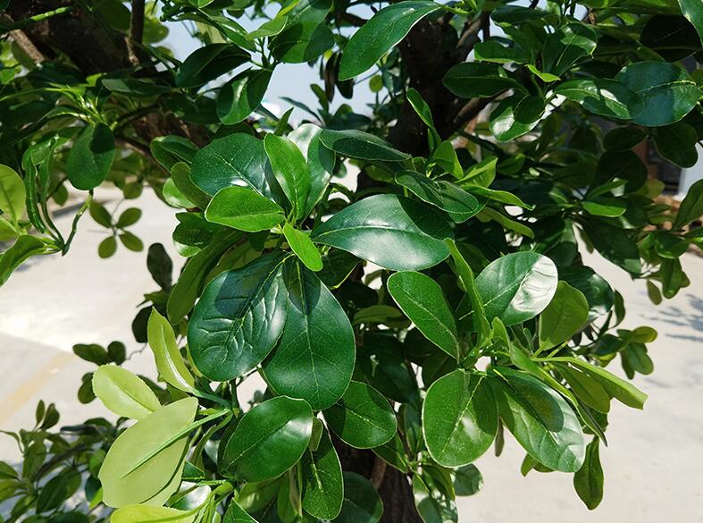 假树-仿真植物墙-人造仿真假树厂家-邦森