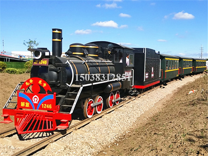 微型蒸汽小火车图片