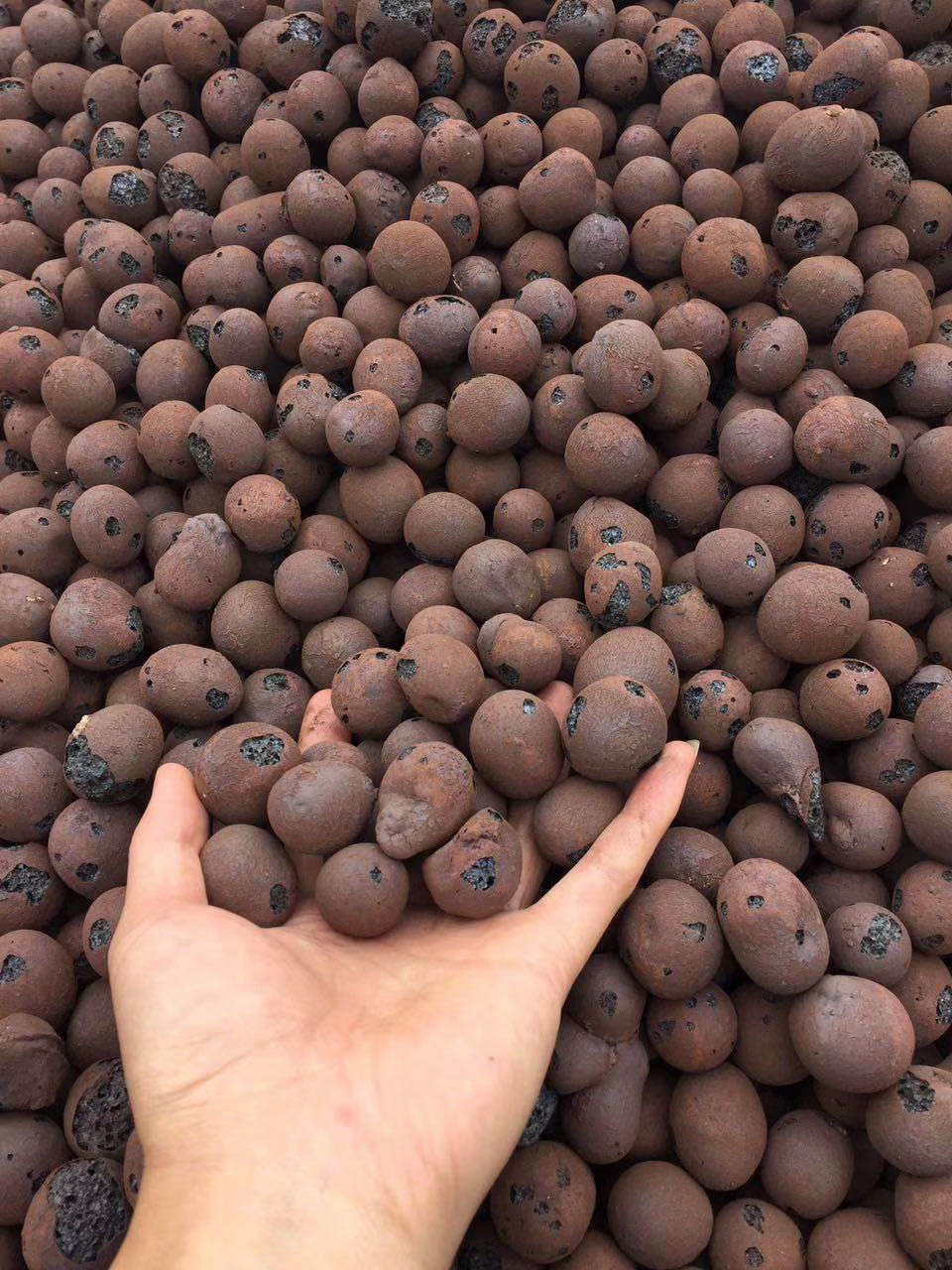 重庆陶粒厂 陶粒的出厂价格