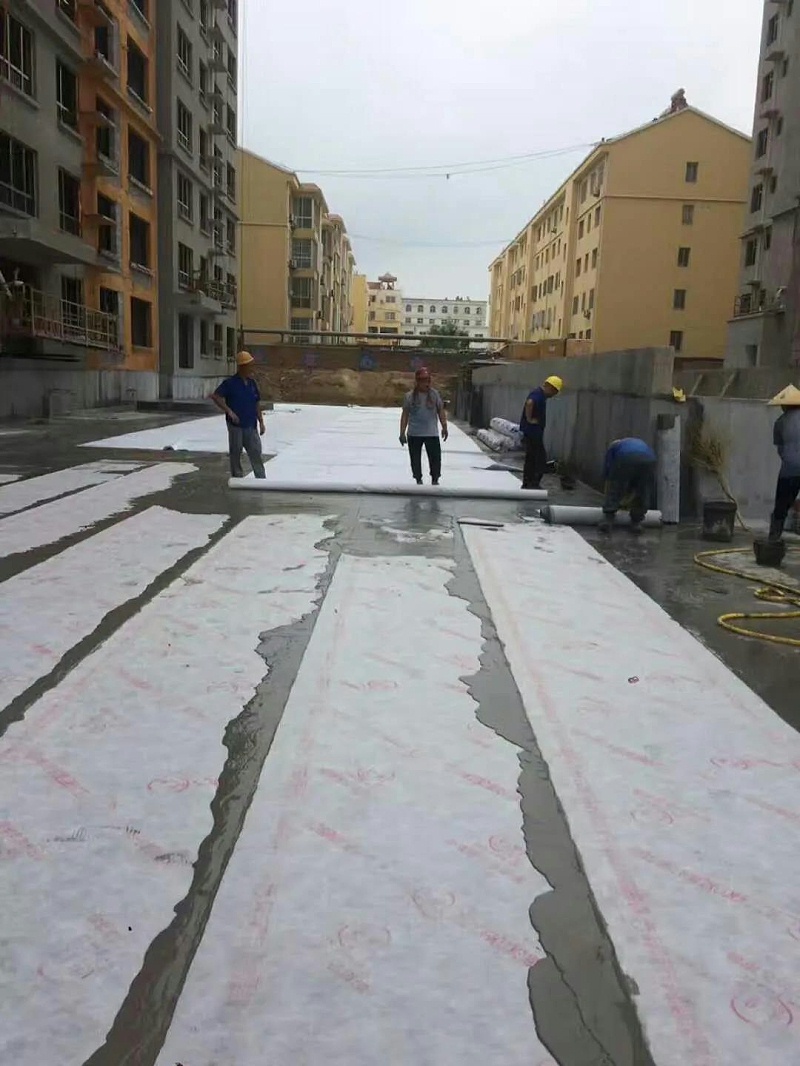 涤纶防水卷材湖南长沙厂家