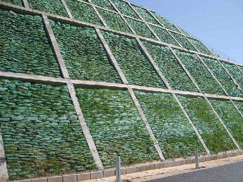 护坡生态袋规格有哪家