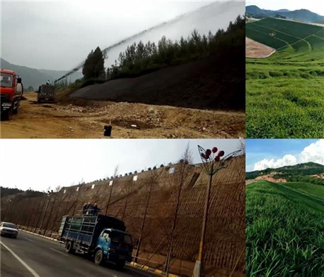 云南公路两侧边坡绿化喷播机