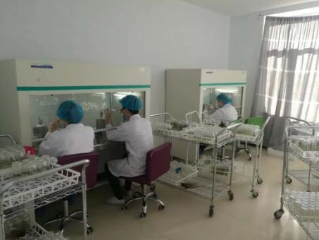河北組培室潔凈工作臺單人單面垂直流