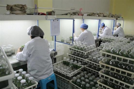 黑龍江組培接種凈化工作臺(tái)單人單面水平流
