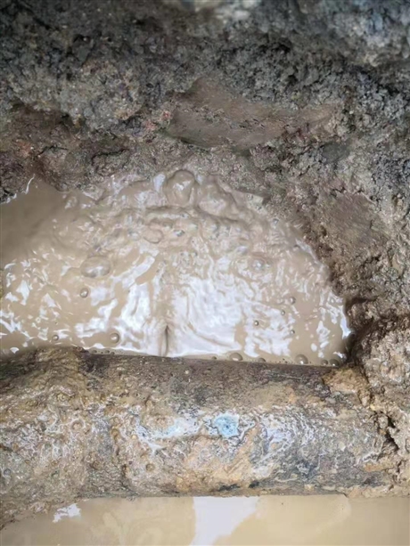 南沙地下管滲漏探漏 室內(nèi)滲水處理