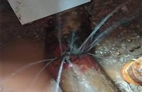 桂城给水管网探漏,地下水管测漏