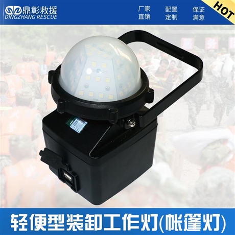 DZ-6110型升降工作灯常用防汛物资河北鼎彰防汛