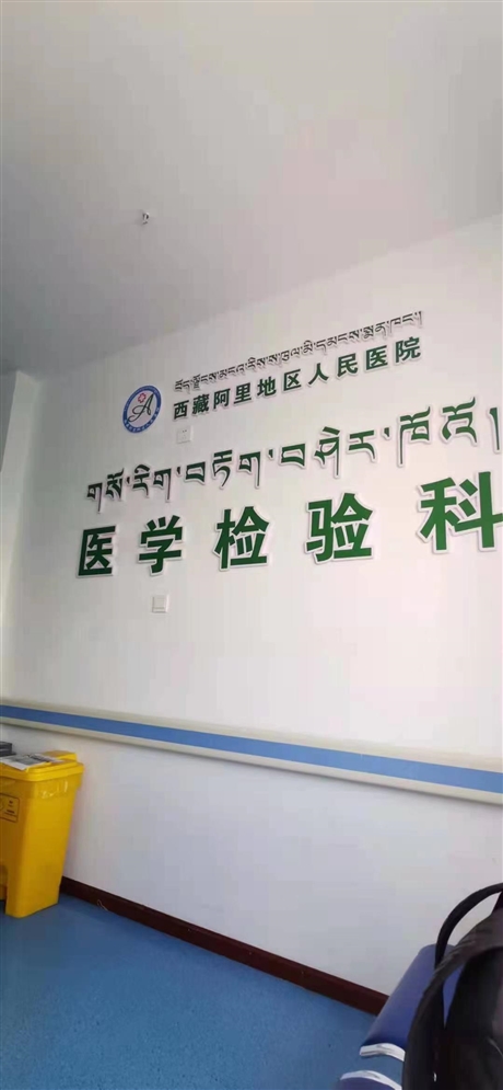 重慶沙坪壩區(qū)地區(qū)工程驗收找山東持正檢測合作安全放心