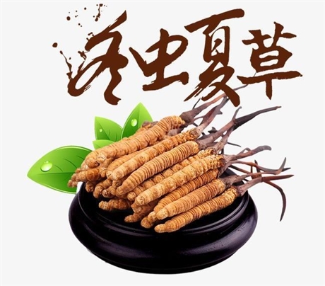 北京朝阳区回收冬虫夏草之桥东 西 南北门 小区周边电话