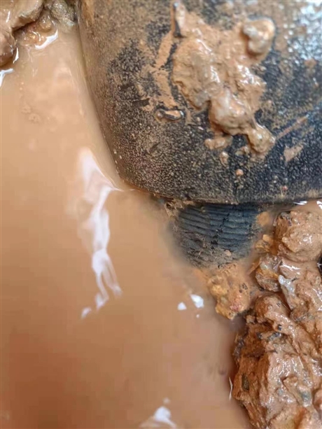 河源地面渗水查找水管渗漏位置 自来水管测漏点
