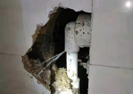东莞管道探漏测漏 探测给水管网漏水 消防管漏水探测公司