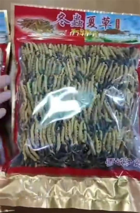 橫瀝回收蟲草多少錢 回收蟲草價(jià)格多少