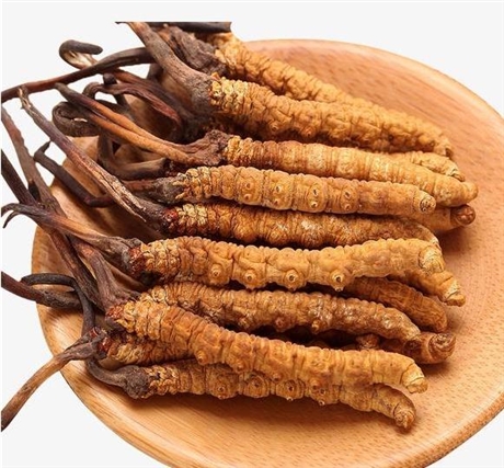 三水回收冬蟲(chóng)夏草價(jià)格-哪里有回收蟲(chóng)草的