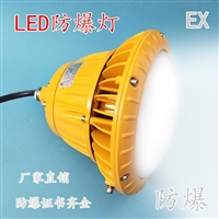 华荣BLED6101防爆led灯喷砂房油漆房厂家直销方型圆形