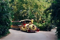 辽宁观光小火车 景区观光火车观光火车价格 