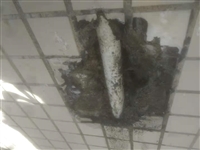 禅城湖景检查管道漏水 先进检测设备工具