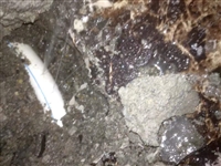 三水塑料管材漏水检测,维修家用管道漏损