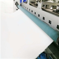 氟美斯除尘滤布滤袋  ptfe针刺毡厂家价格