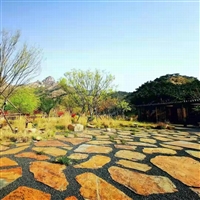 黄色板岩垒墙石锈石英乱型碎拼片石园林景观围墙挡土墙砌墙石块石