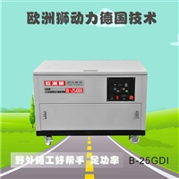 欧洲狮20kw移动式发电机油建公司