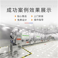 撒尿牛肉流水线设备 自动批量智能化设备肉丸自动化