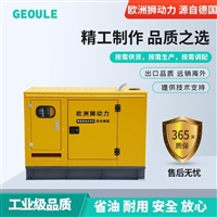 欧洲狮30kw小型柴油发电机油建公司