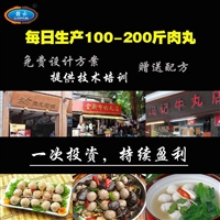 整套肉丸机器 小作坊加工肉丸使用