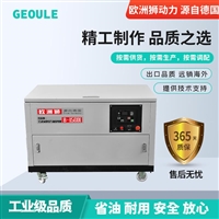 欧洲狮50kw汽油发电机组性价比高