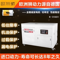 欧洲狮30kw汽油发电机组免费并网