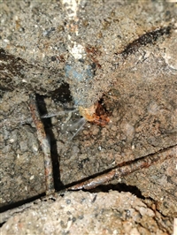 广州登峰
检测仪器查漏水，检修暗管，维修PE管，维修水管电话