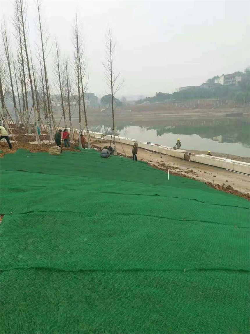 西藏三维土工布网当地厂家绿色,黑色规格齐全双泽供应