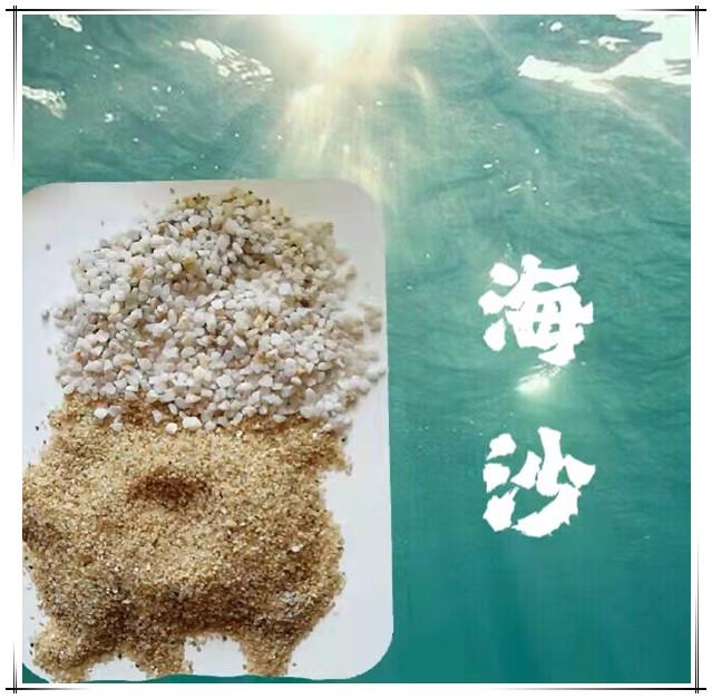 每日推荐：海淀区游乐场海砂