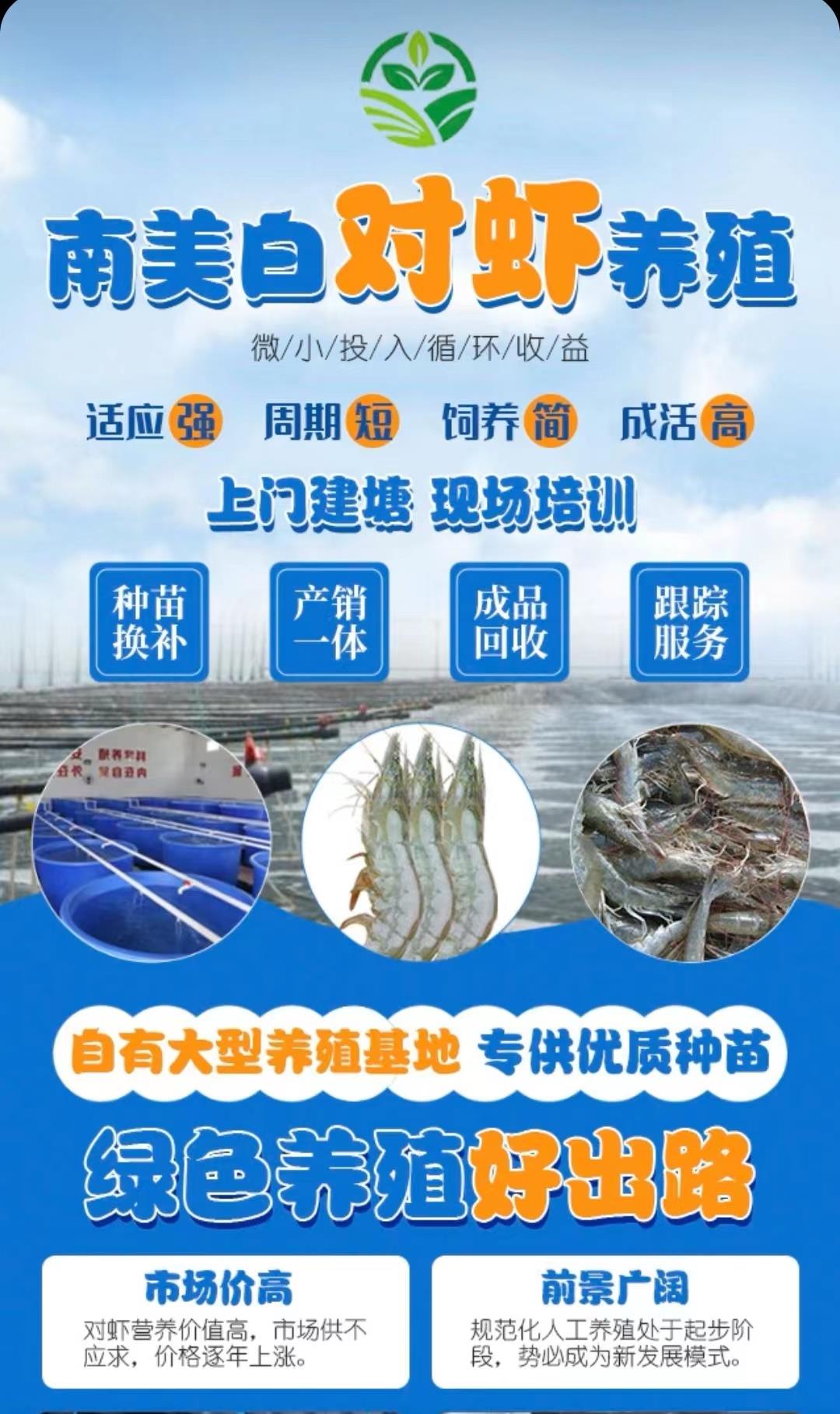 白对虾养殖最新方法 白对虾养殖最新设备