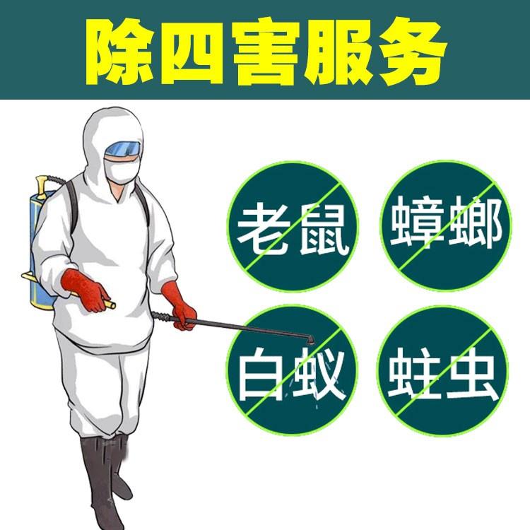 深圳龙华24H上门清理老鼠公司联系方式